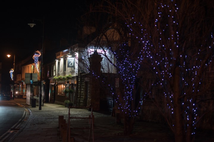 bare trees covered in blue fairy lights