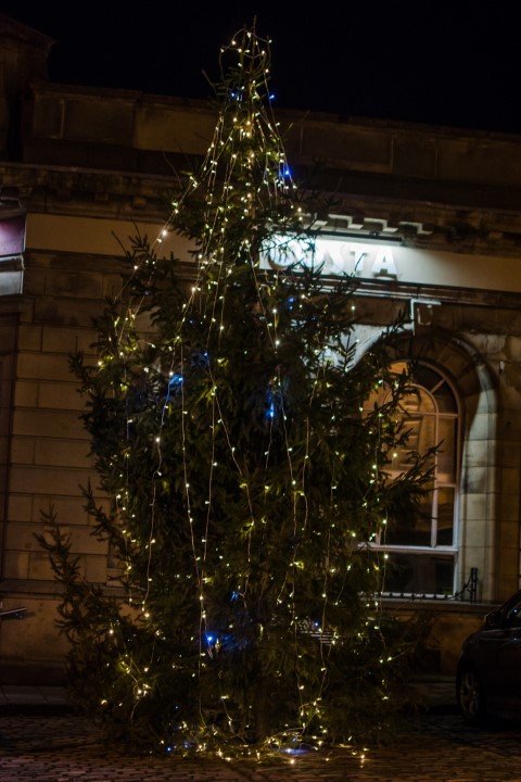 big christmas tree covered in yellow and blue fairy lights