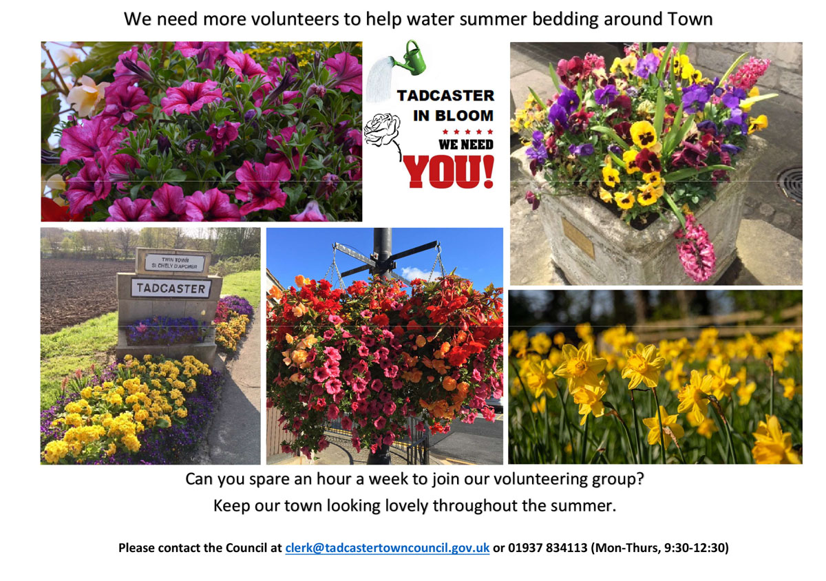 Tadcaster in Bloom Poster