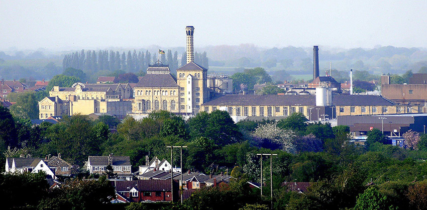 beautiful view of trees and buildings