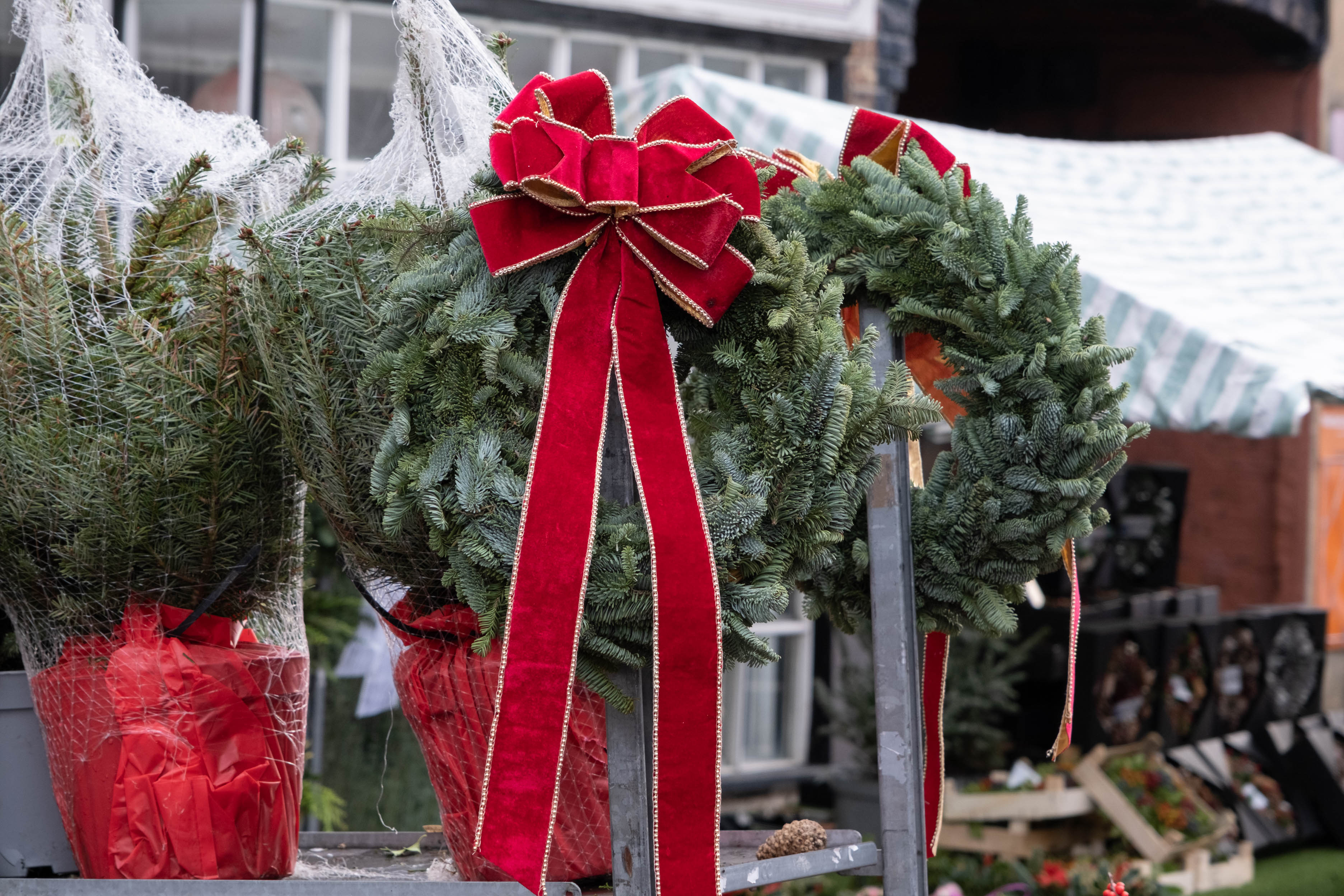 -christmas_trees_stalls_kirkgate_and_westgate_christmas_market_2022_3