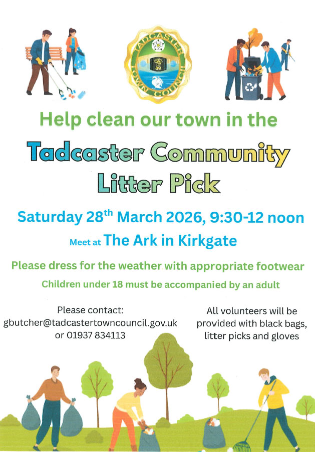 Litter Pick Poster