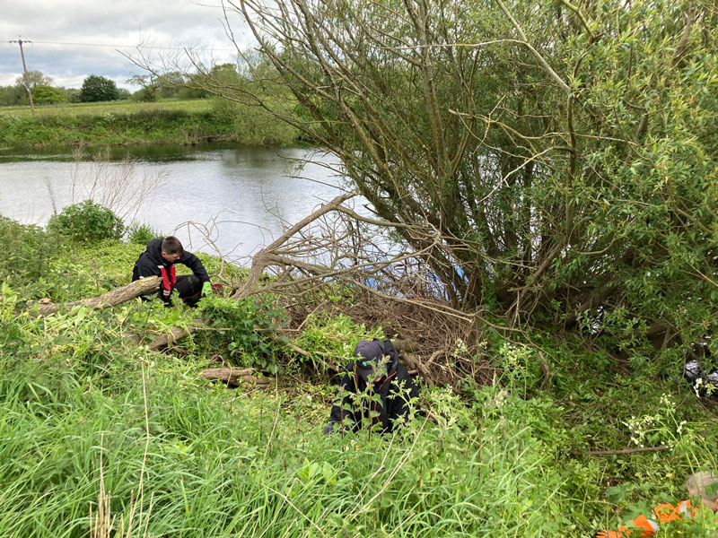 Himalayan Balsam Removal 03